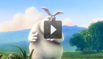 Fusce pellentesque commodo 